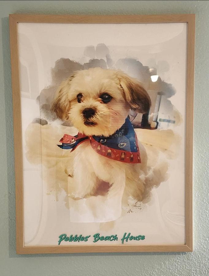 Pebbles' Beach House 에든버그 외부 사진